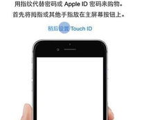 苹果45.1.1完美越狱,解锁无限潜能，畅享个性化体验